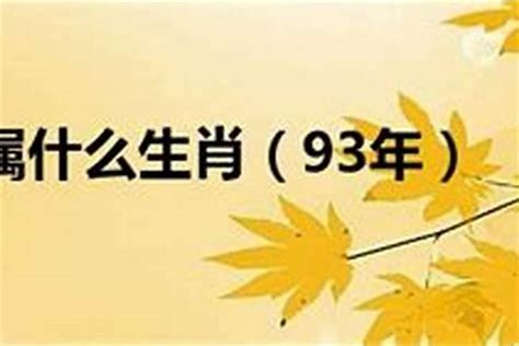 1993什么年|1993年是什么年